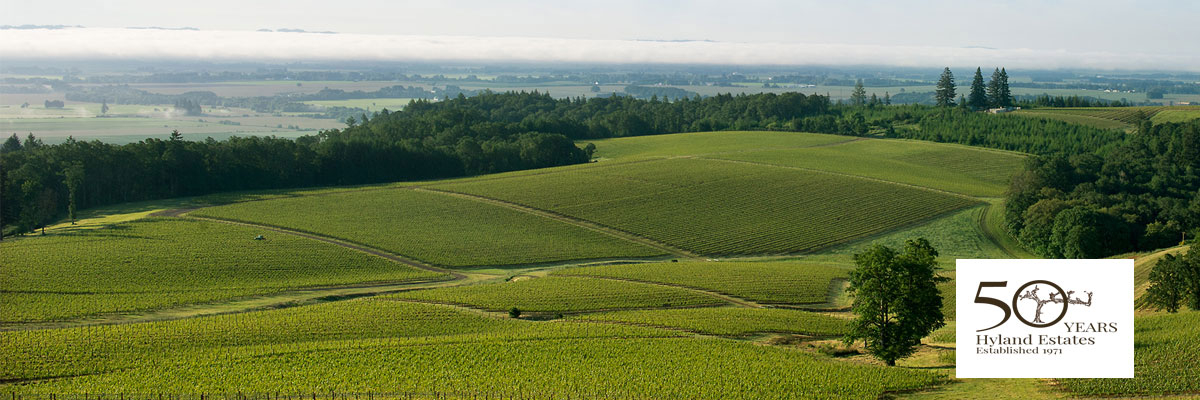 Vineyards of Hyland Estates