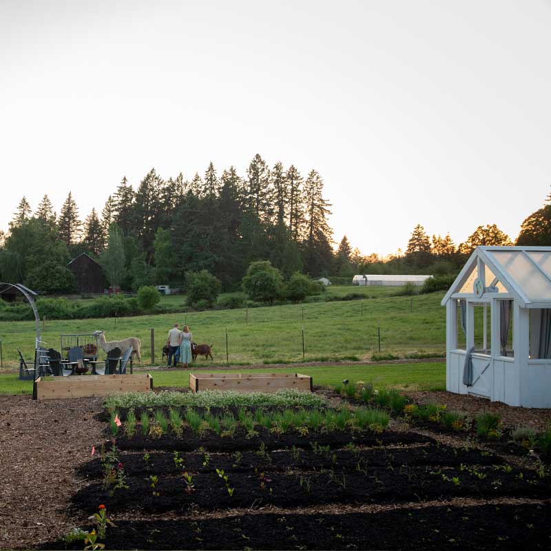 The culinary garden, greenhouse and pasture at Middleground Farms