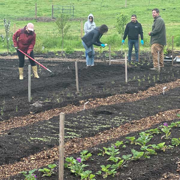 Chef Jeremiah with volunteers at Middleground Farms