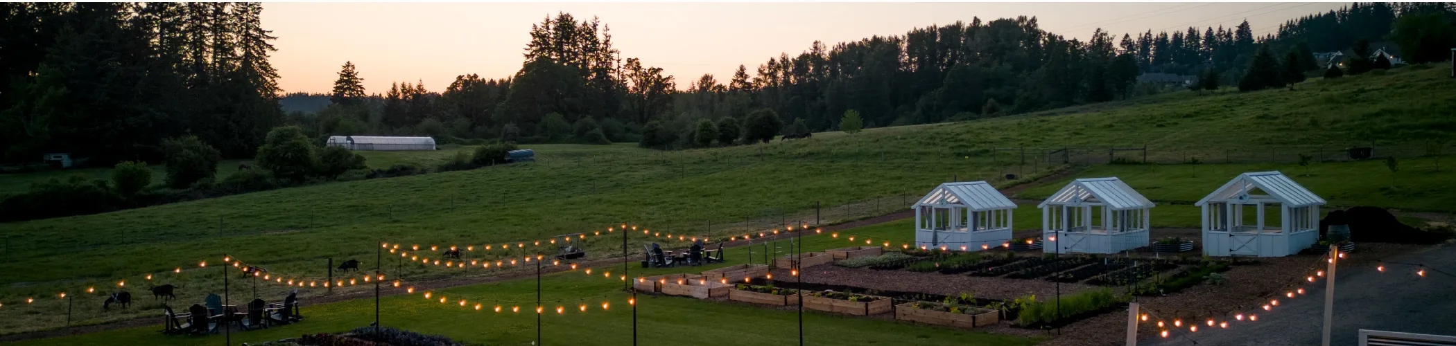 Sunset view at Middleground Farms with culinary garden and greenhouses