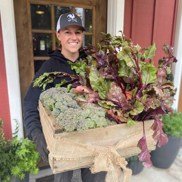 A Middleground Farm garden helper holding a wood crate of Broccoli and Sorrel