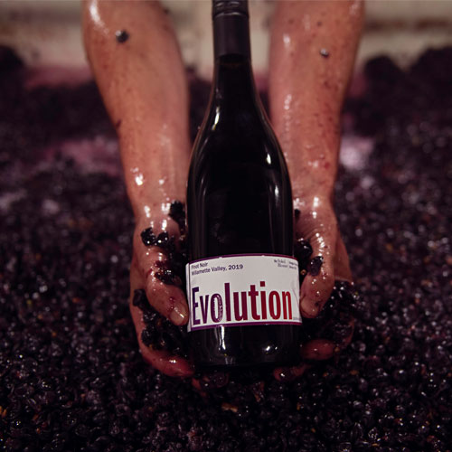 A person holding a bottle of Evolution wine in grapes