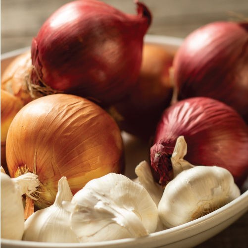 Beautiful garlic, shallots and onions in a bowl at The Kitchen at Middleground Farms