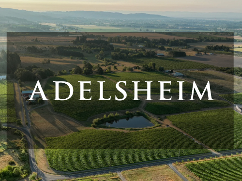 TKMF25-1124 Web-WDS-TicketImages_Postcard_Adelsheim Winemaker’s Dinner – Adelsheim