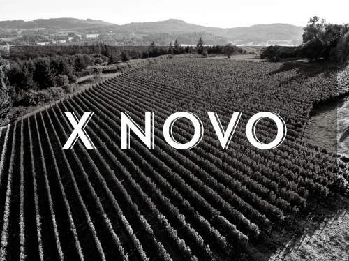 X NOVO
