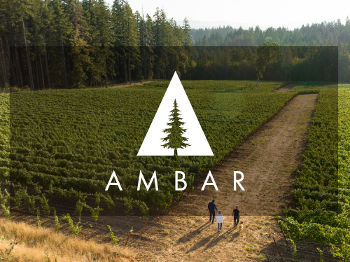 Winemaker’s Dinner – AMBAR