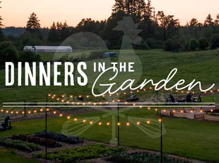 Dinners in Garden