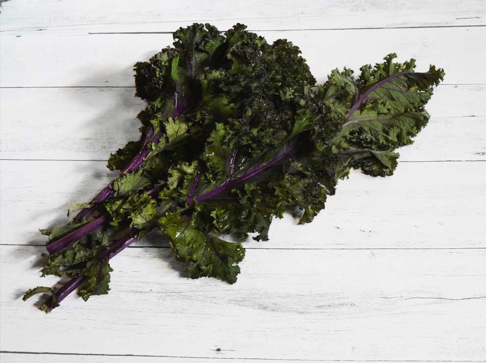 Plant Based Meals – Brighten Up Winter