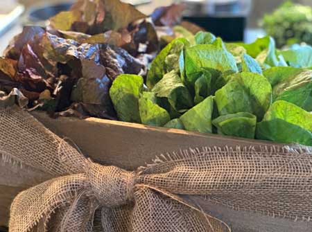Spring Farmer’s Market