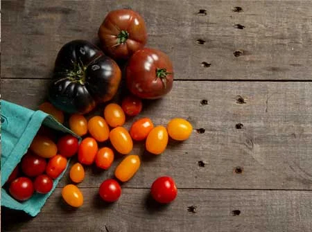 Ladies’ Night Out: Ultimate Summer Appetizers
