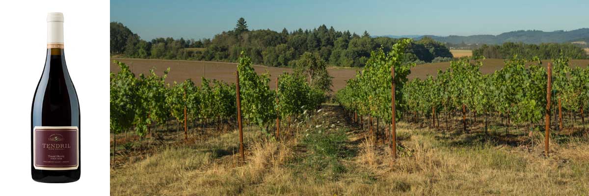 Tendril Wine Cellars Winemaker’s Dinner